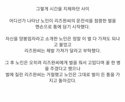 벌떼에게 주차테러 당한 호주인과 "지나가던 노인"