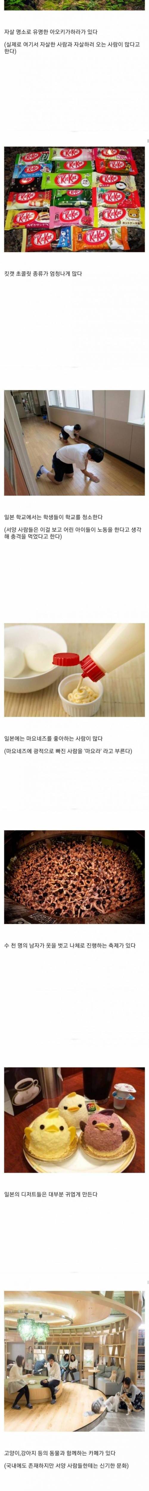 [스압] 몰라도 되는 일본의 이상한 문화.jpg
