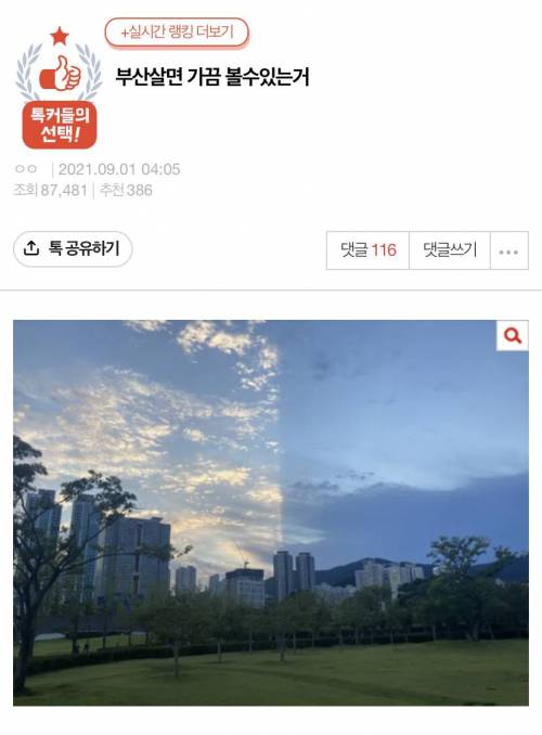 부산살면 가끔 볼수있는거.jpg
