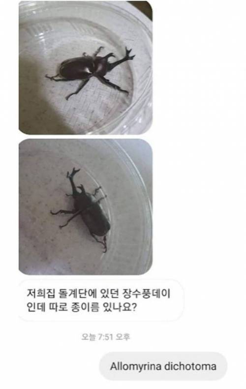 [스압] 아는게 많은 유투버.jpg