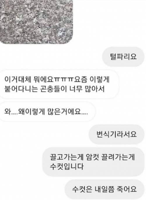 [스압] 아는게 많은 유투버.jpg