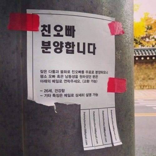 무료 분양 합니다.jpg