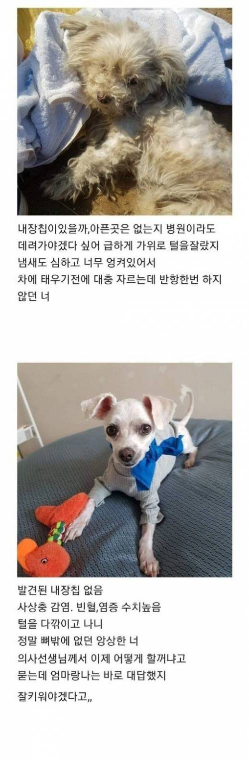 [스압] 부모님 텃밭에서 시작된 인연.jpg