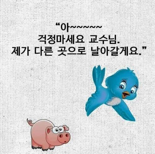 간디식 딜교.jpg