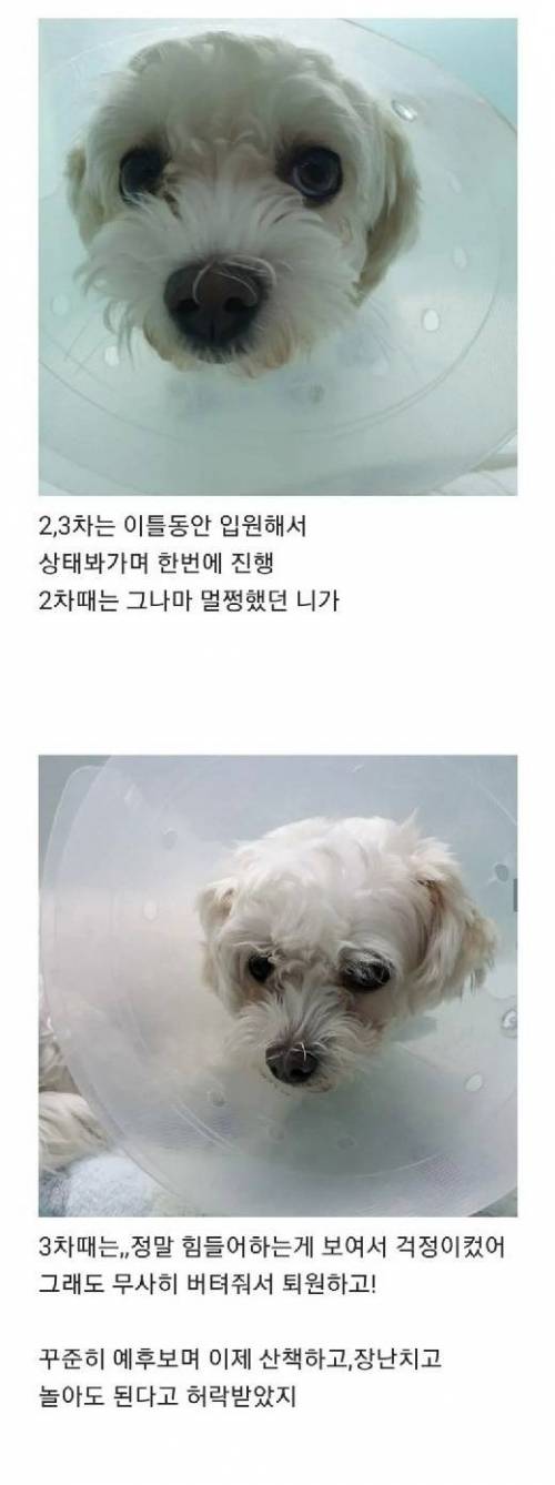 [스압] 부모님 텃밭에서 시작된 인연.jpg