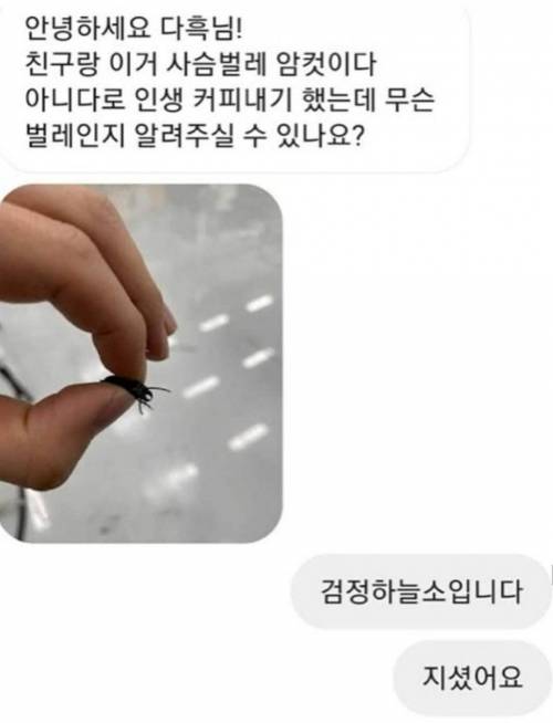 [스압] 아는게 많은 유투버.jpg