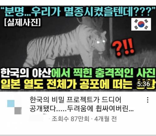 일본인이 벌벌 떠는 한국인도 몰랐던 K-생물병기