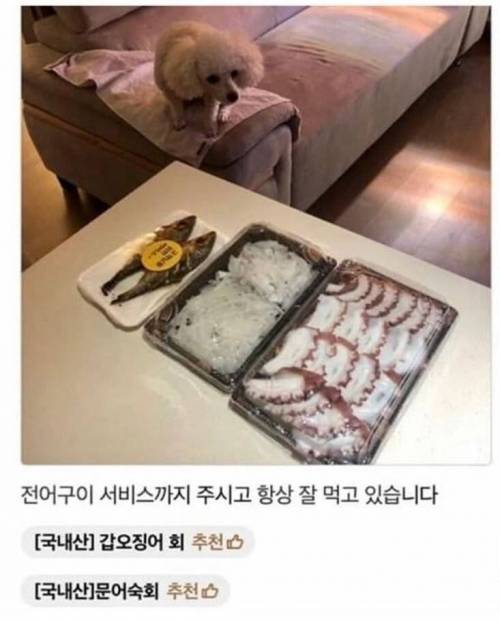 [스압] 강아지가 안보여서 아쉬워하는 사장님.jpg