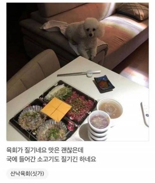 [스압] 강아지가 안보여서 아쉬워하는 사장님.jpg