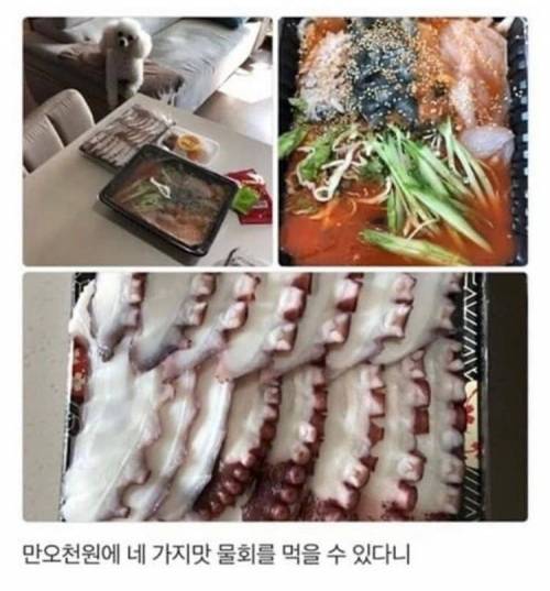 [스압] 강아지가 안보여서 아쉬워하는 사장님.jpg