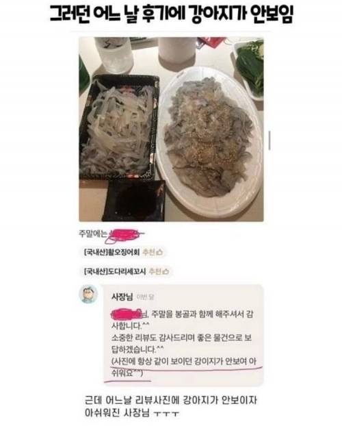 [스압] 강아지가 안보여서 아쉬워하는 사장님.jpg