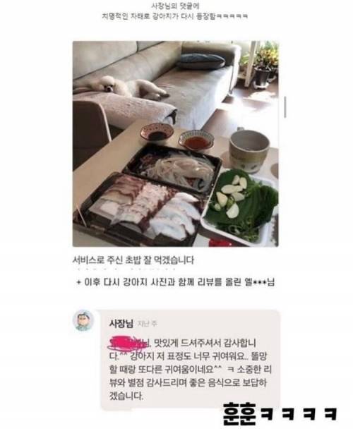 [스압] 강아지가 안보여서 아쉬워하는 사장님.jpg