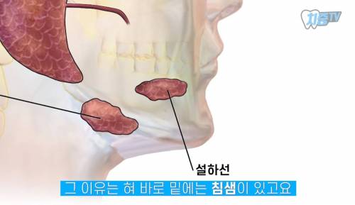 [스압] 양치할 때 놓치는 부위 TOP 5