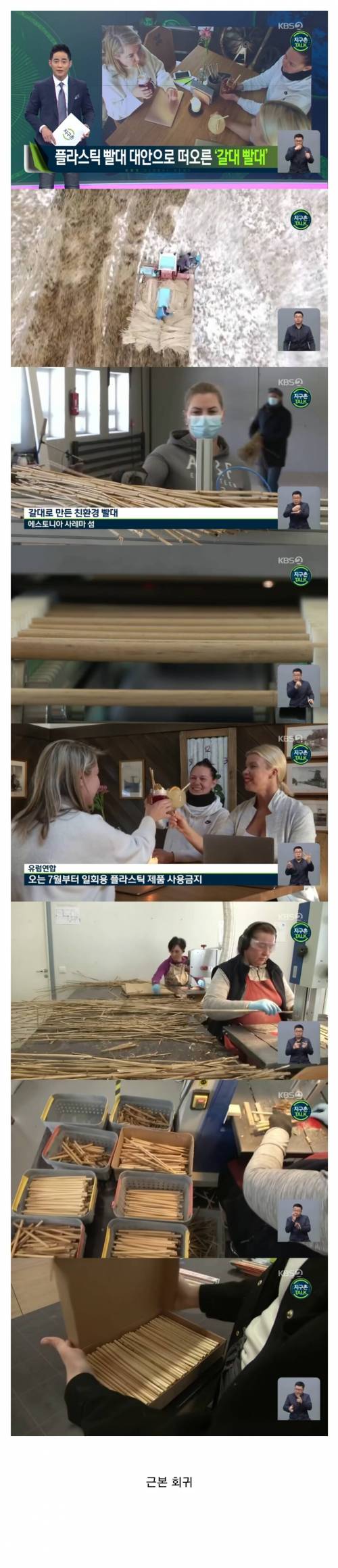 갈대까지 간 빨대.jpg