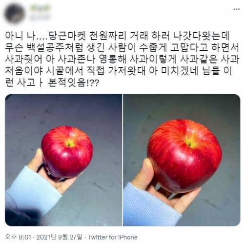 중고거래 하다가 사과 받은 사람