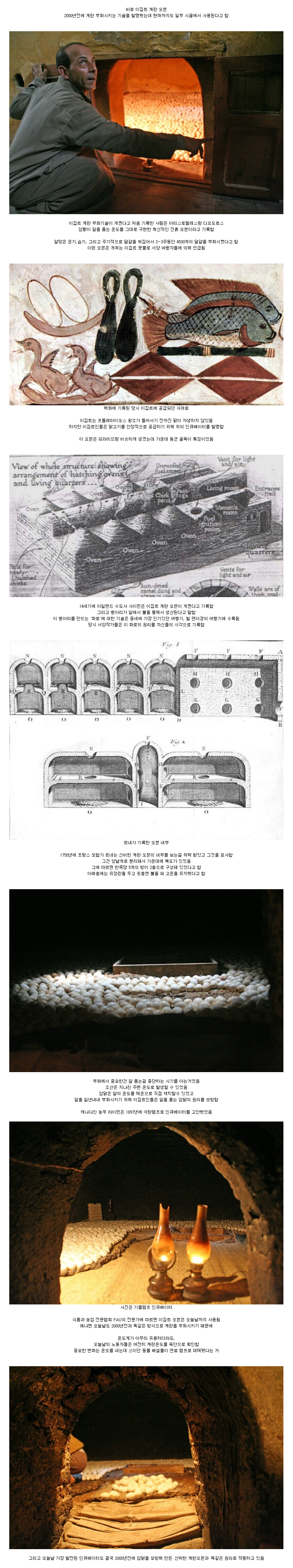 이집트에서 피라미드보다 더 대단한 취급을 받았던 것