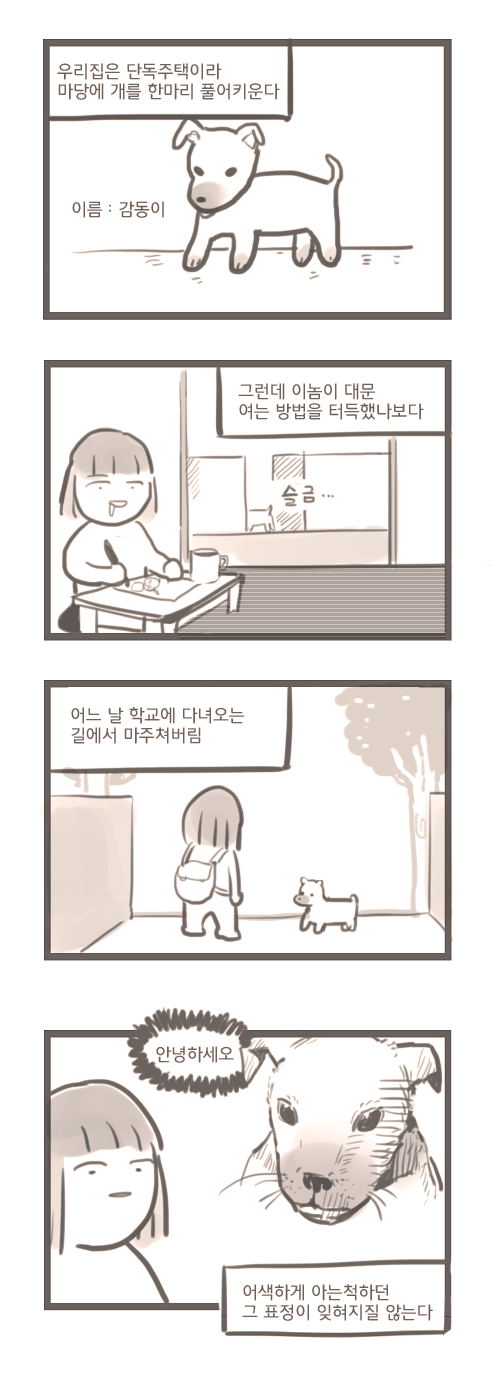 [스압] 오렌지 먹는 만화.jpg