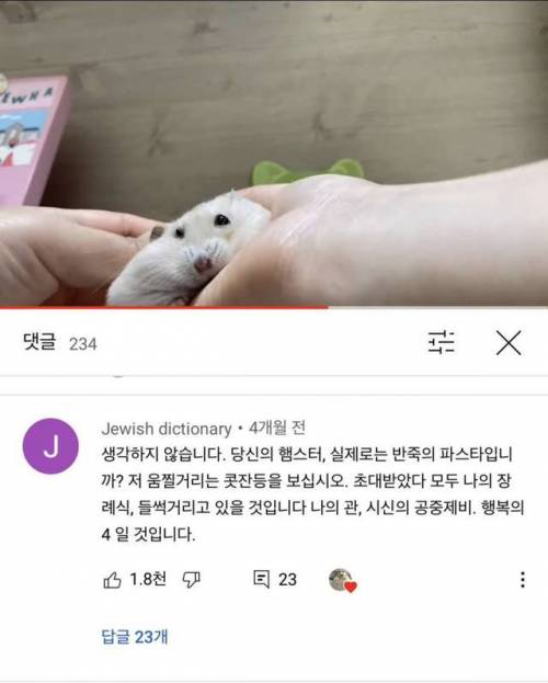 외국인 햄스터 댓글 번역 참사.jpg