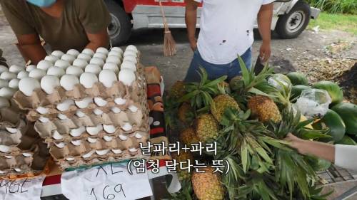 [스압] 한국 좋아요 일본 안좋아요