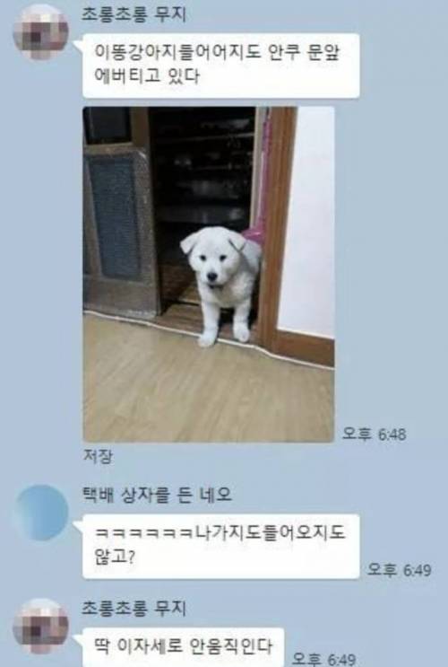 은근슬쩍 집에 들어와서 꿀잠 자고 간 멍멍이