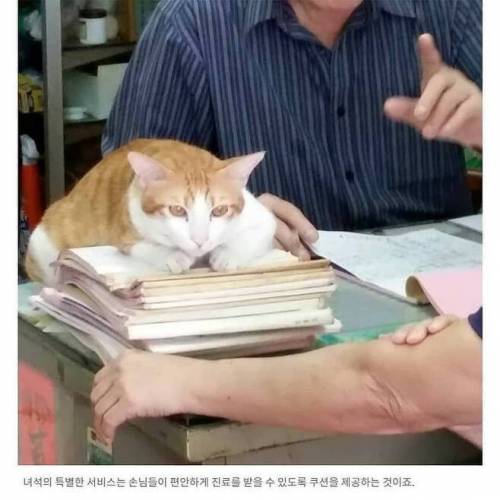 한의원에서 쿠션 역할을 하는