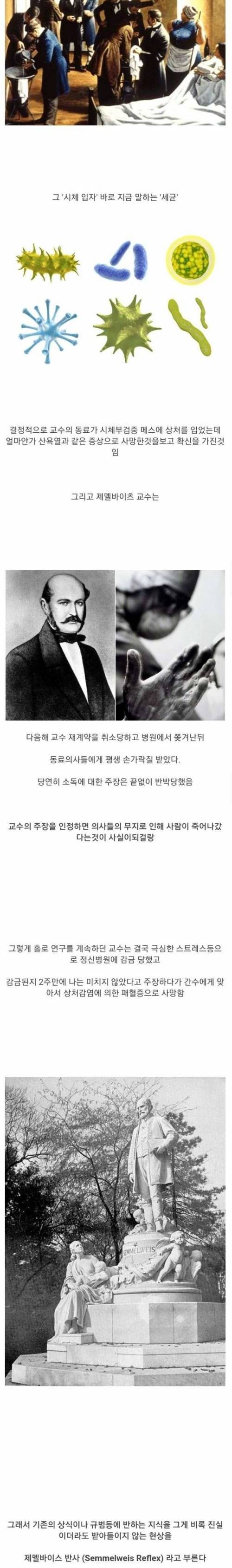 [스압] 임산부 사망률을 극적으로 낮춘 사람.jpg