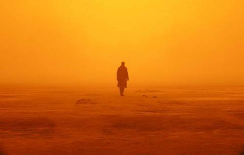 [스압] 드니 빌뇌브가 블레이드러너 2049를 촬영한 방식.jpg