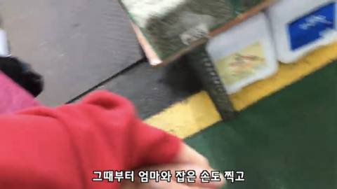 [스압] 며느리가 시어머니의 유튜브 편집자가 된 이유