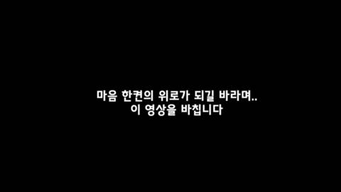 [스압] 며느리가 시어머니의 유튜브 편집자가 된 이유