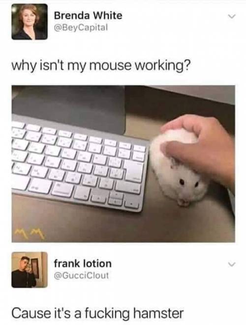 왜 내 마우스가 작동을 안함?