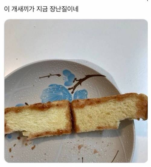 동생이 만들어준 토스트.jpg