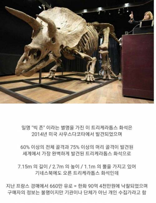 현존하는 가장 완벽한 트리케라톱스 화석, 90억원에 팔려