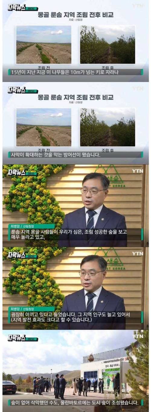 [스압] 15년 전 몽골에 심은 나무들 근황.jpg