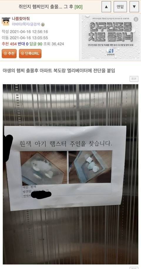 [스압] 집에서 쥐가 나왔는데 이거 햄스터 같기도 하고