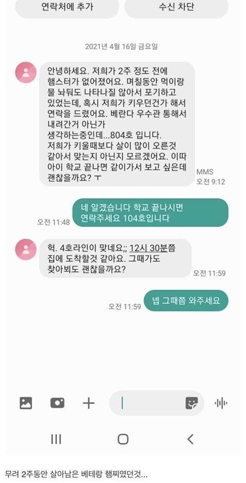 [스압] 집에서 쥐가 나왔는데 이거 햄스터 같기도 하고