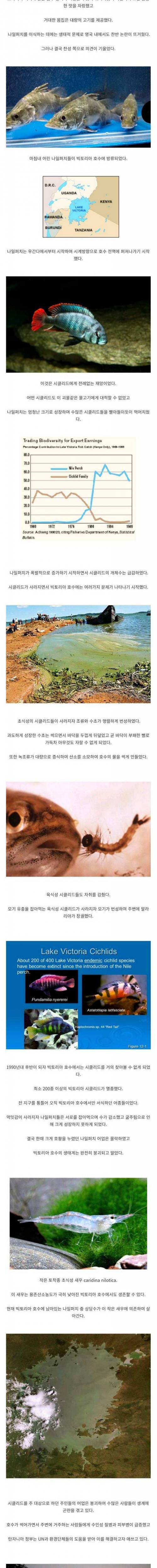 [스압] 아프리카의 대호수가 말라버린 이유.jpg