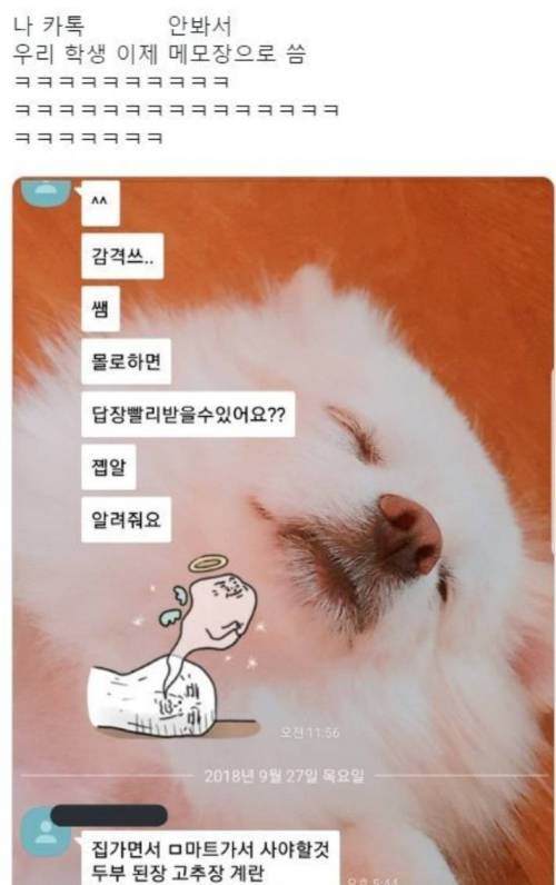 카톡 너무 안 봐서