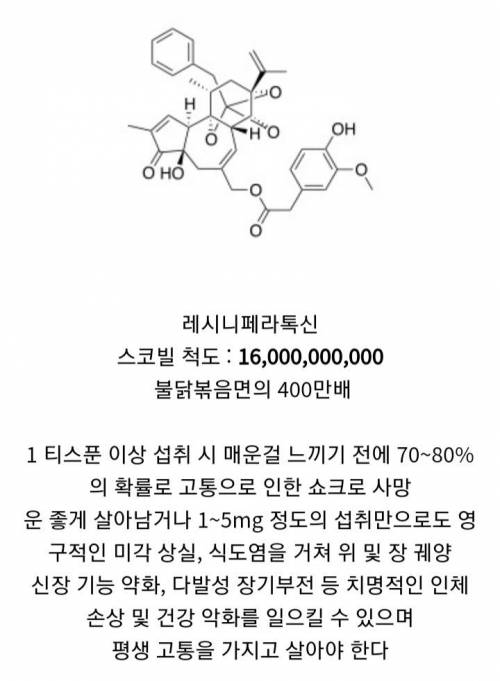 세상에서 가장 매운 물질.jpg