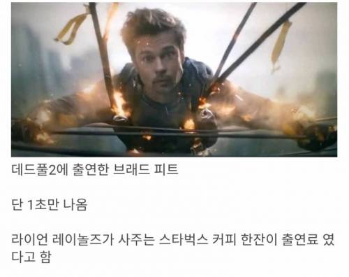 까메오 출연 레전드