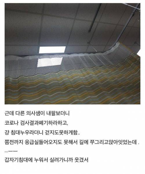 [스압] 산책하다 독사에게 물림.jpg