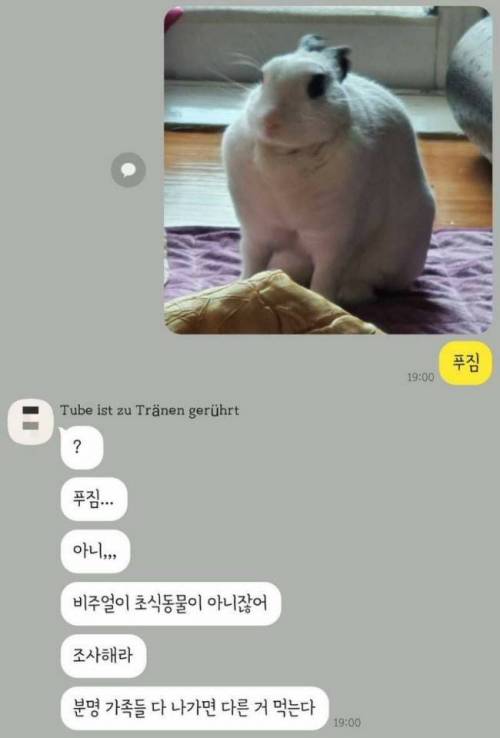 벌크업한 토끼를 보고 놀란 사람들