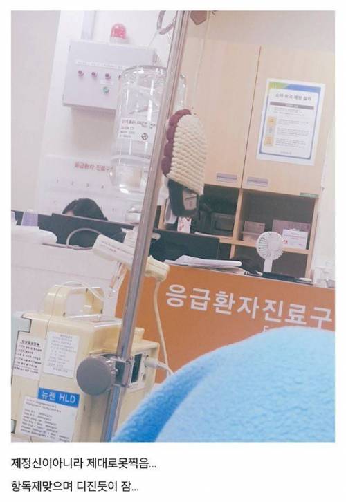 [스압] 산책하다 독사에게 물림.jpg