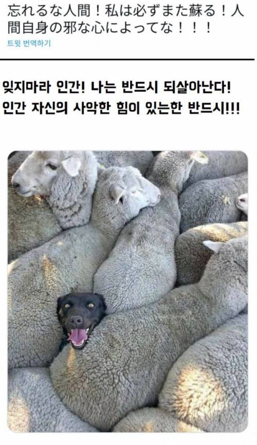 쓰러지는 악역보스 클리셰.jpg