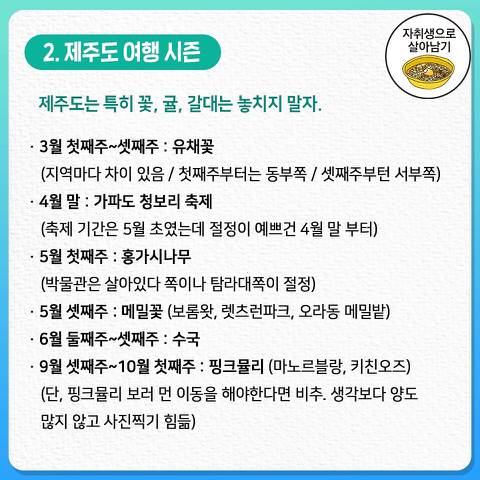 절대 후회없는 제주도 여행 꿀팁 총정리