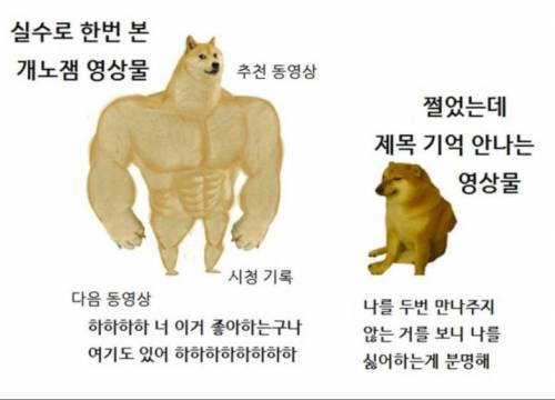 유튜브 알고리즘 특징.jpg