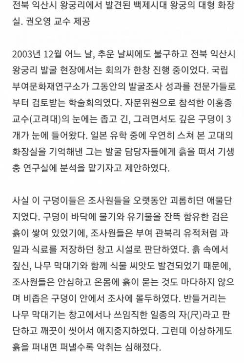 백제 유적지의 구덩이에서 발견한 냄새나는 검은 흙의 정체