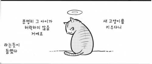 택시에 고양이 데리고 타는 만화.jpg