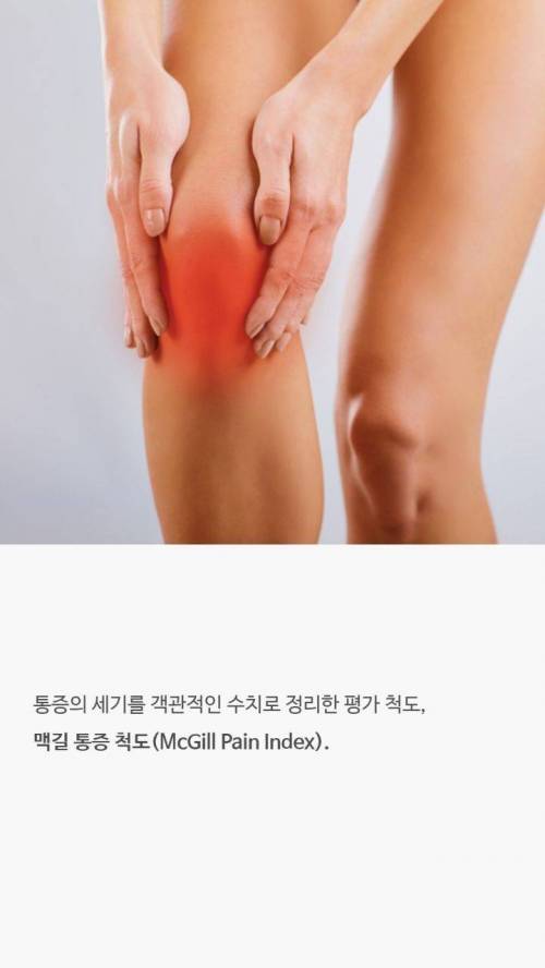 [스압] 점수로 보는 통증순위.jpg