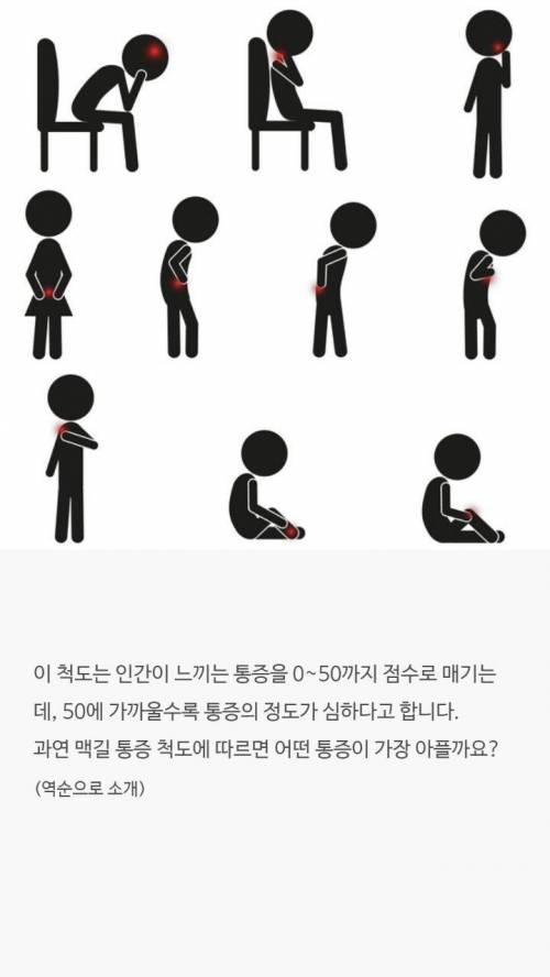 [스압] 점수로 보는 통증순위.jpg