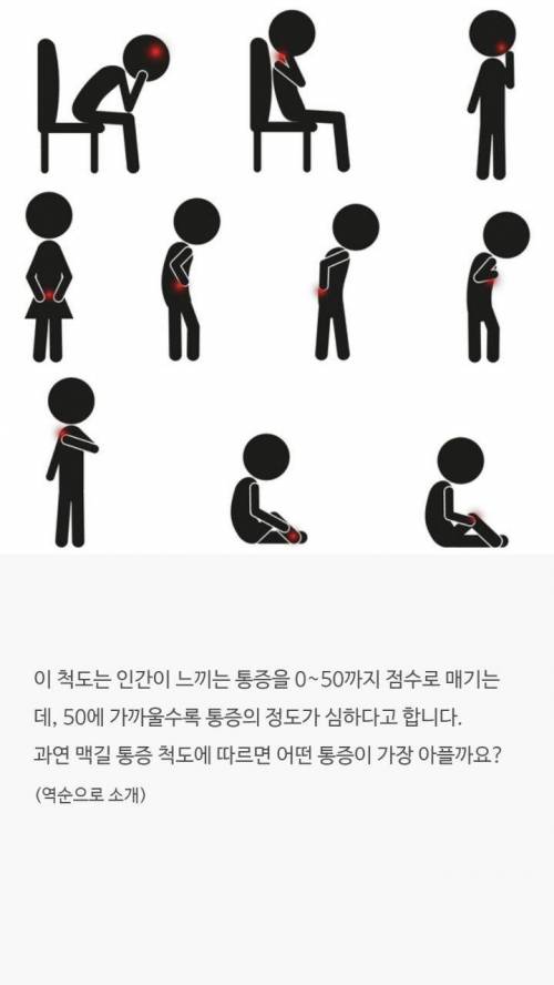 [스압] 점수로 보는 통증순위.jpg